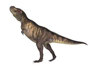 Fototapeta premium 3D renderowania tyranozaura dinozaura na białym tle