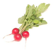 radish on white