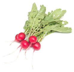 radish on white