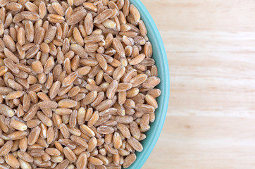Farro organic wheat in a bowl on table top