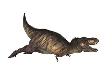 3D Rendering Dinosaur Tyrannosaurus on White