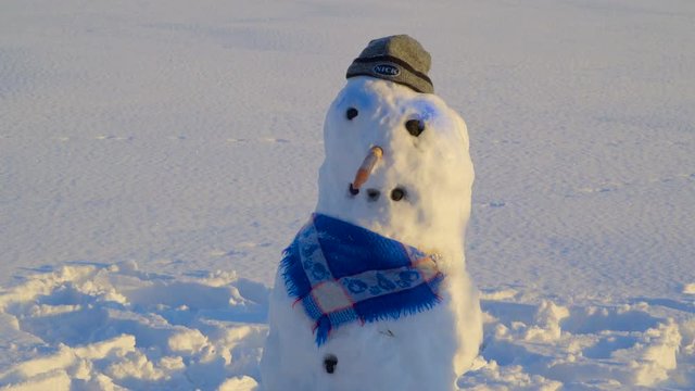 Closer view of the face of the snowman he has carrot nose coal eyes and mout blue scarf and black hat