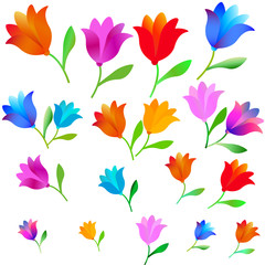 flowers