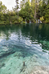 turquoise water and waterfalls in the natural park Plitvice