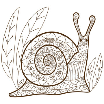Cute snail adult coloring book page. Happy smiling snail in forest. Whimsical line art. vector illustration. brown outline.