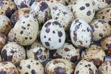 Fresh quail eggs. Organic food