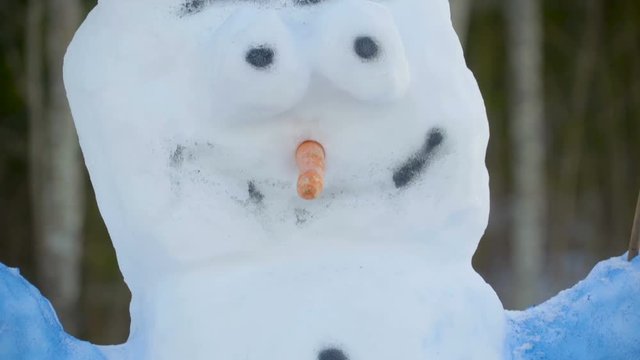 A snowman with painted eyes and lips. The eyes and mouth are painted in black with a long carrot nose