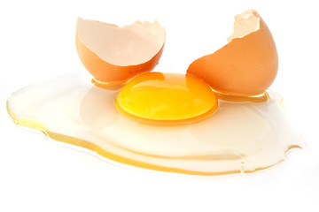 Eggs on white background