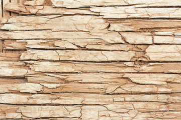 extreme close up of an old cracked wooden surface