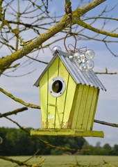 Gelbes Vogelhaus am Baum