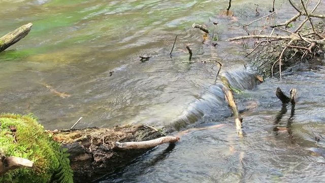 Wuerm river landscape in springtime. flowing stream water. located next to Starnberg, Bavaria (Germany)
