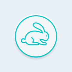 rabbit line icon, vector illustration