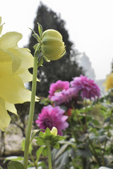 Victoria Memorial, Kolkata , India - Historical monument.
