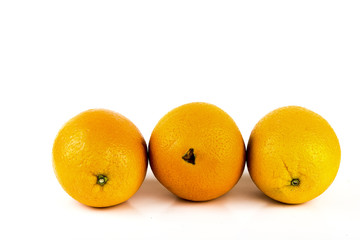 Three Oranges in a row on a white background