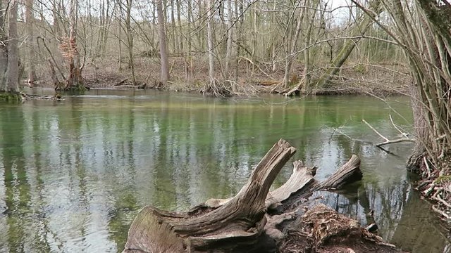 Wuerm river landscape in springtime. flowing stream water. located next to Starnberg, Bavaria (Germany)