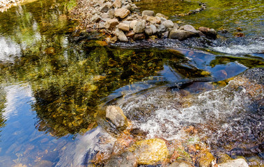 Yellow rocks are seen through the clear water flowing, Khao Sok National Park, Surat Thani Province, Thailand.