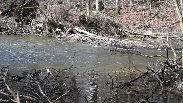 Wuerm river landscape in springtime. flowing stream water. located next to Starnberg, Bavaria (Germany)