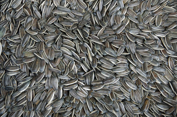 Sunflower seeds piled in market place