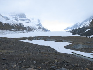 Obraz premium Schneeweißer Athabasca Gletscher im Jasper Nationalpark, Alberta/ Kanada