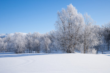 Fototapeta na wymiar Winterlandschaft in Schweden an einem sonnigen Tag