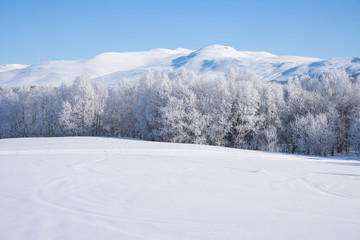 Winterlandschaft in Schweden an einem sonnigen Tag