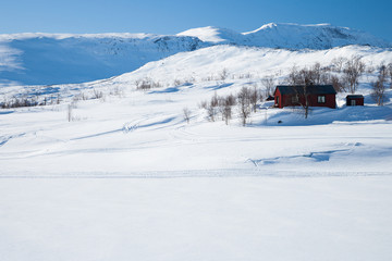 Fototapeta na wymiar Rote Ferienhäuser in der weißen Winterlandschaft in Schweden