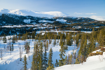 Winterlandschaft in Norwegen im Abendlicht