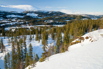 Winterlandschaft in Norwegen im Abendlicht