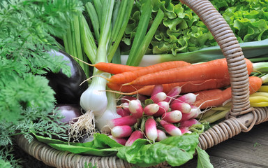 panier de légumes frais dans jardin posé au sol 