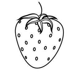 Sketch of a strawberry coloring
