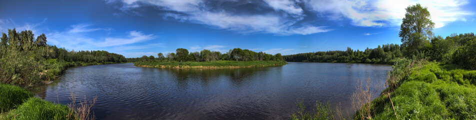 Obraz na płótnie Canvas panorama of the river and the forest