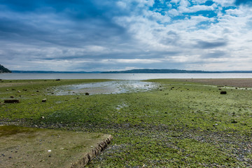 Puget Sound At Low Tide