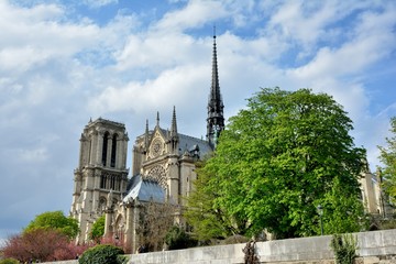 Fototapeta na wymiar La cathédrale Notre-Dame de Paris au coeur de l'île de la Cité