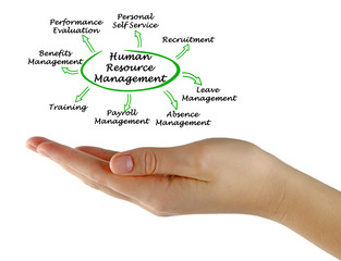 Diagram of Human Resource Management