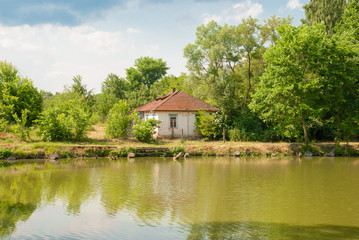 Fototapeta na wymiar Country landscape with a lake. Ukraine