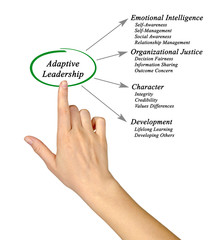 Diagram of Adaptive Leadership.