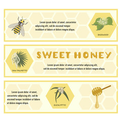 Honey set for banner, flyer, exhibitions, posters. Flowers, bees and honeycomb. Hand drawn design element isolated on white background. Place for text. eps10 vector