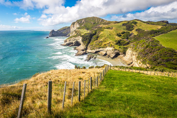 Fototapeta na wymiar West Coast #1, Southern Island, New Zealand