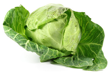 Fototapeta premium Weißkohl aus biologischem Anbau isoliert auf weißem Hintergrund