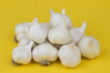 Garlic