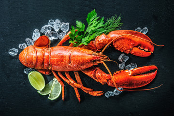 Top view of whole red lobster with ice and lime - obrazy, fototapety, plakaty