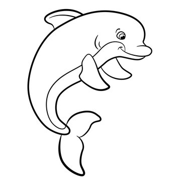 Coloring pages. Marine wild animals. Cute dolphin.