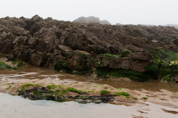 Water left stranded in the rocks by low tide