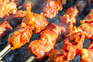 Pork shashlik