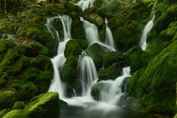 Fototapeta premium Andoin - 16