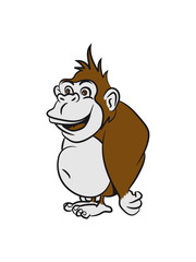 Gorilla funny