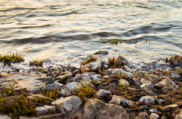 River on sunset background