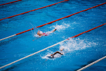 Olympic swimming pool with swimmer crawl race