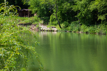 building near the river and the forest
