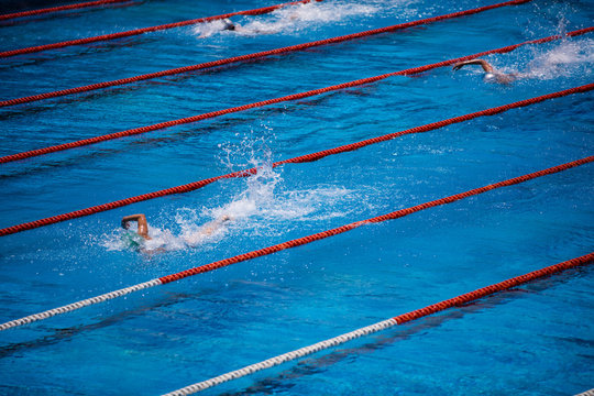 Olympic swimming pool with swimmer crawl race